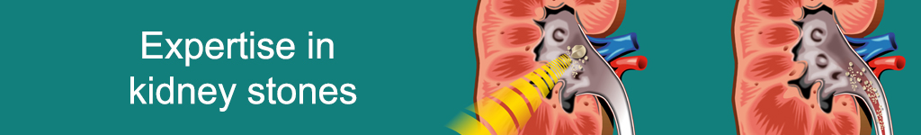 banner – kidney stones