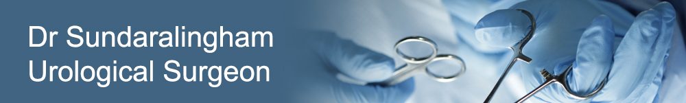 banner - SS